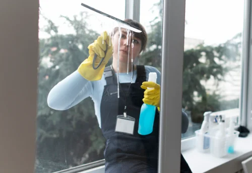 Nettoyage de vitres intérieures et extérieures à Vaire